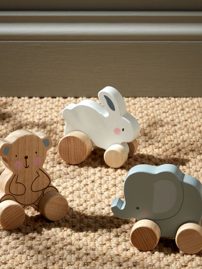 Bambino Wooden Push Toy - 3 Variations