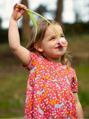 Frugi Donkey Dress - Ellen