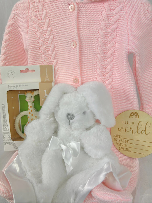 Baby Girl Gift Bundle