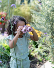 Little Dutch Binoculars - Pink