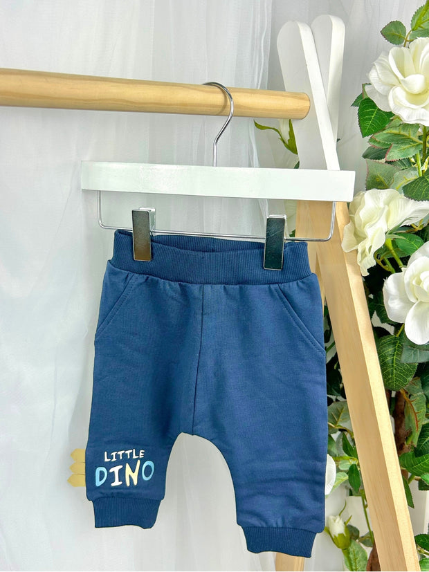 Name It Baby Boy 'Little Dino' Tracksuit - 2 Colours