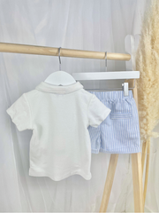 Mintini Toddler Boy Blue Stripe Top & Shorts Set