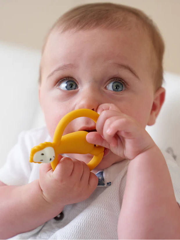 Matchstick Monkey Animal Teether - Ludo Lion