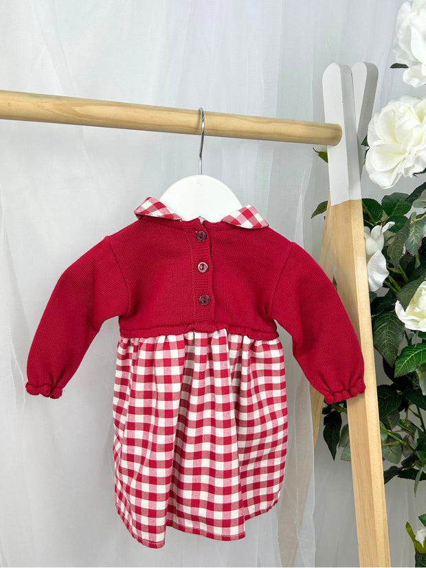 Girls Red Gingham Knit Dress (3M-3Y)