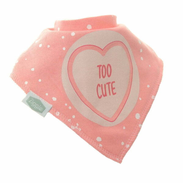 Baby Girl Bibs