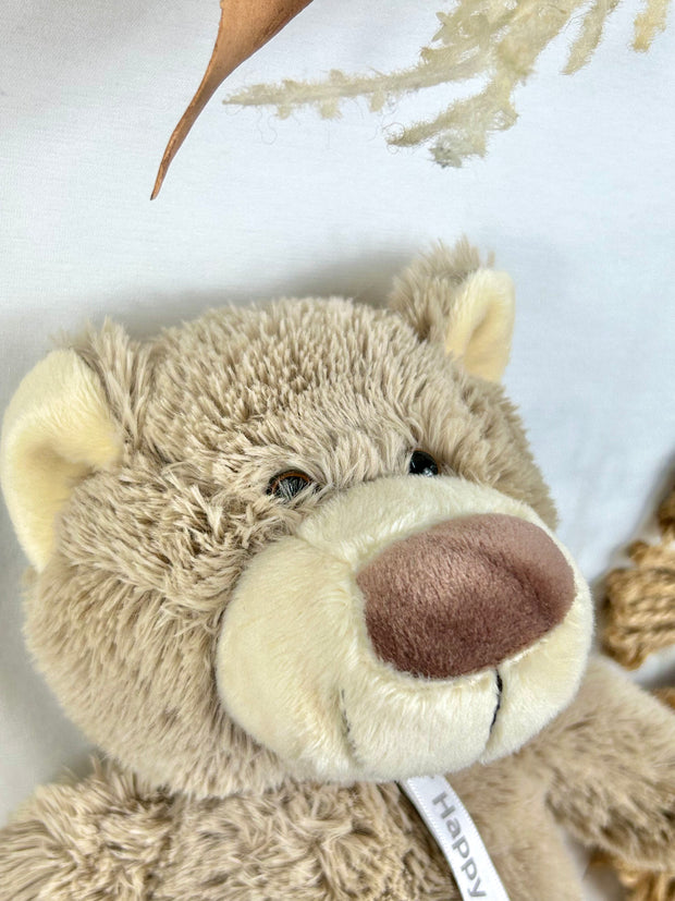 Bella The Bear