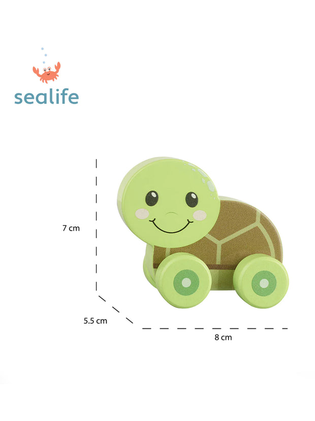 Turtle Push Along Toy