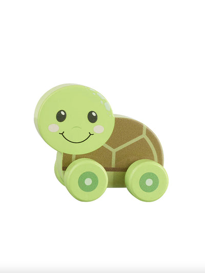 Turtle Push Along Toy