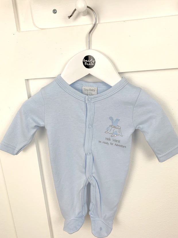 Baby Boy Premature White and Blue Babygrows - 2 Pack